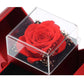 Fashion Jewelry Box Red Apple Christmas Gift Necklace Eternal Rose For Girl Mother&